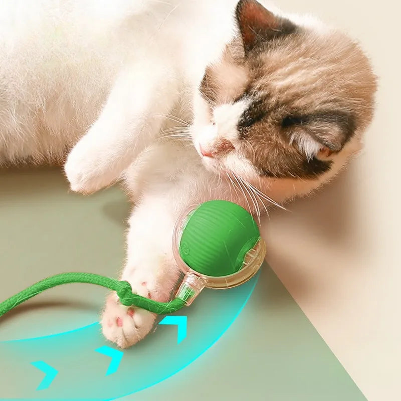 Smart Pet Electric Toy Cat Training Imitate Mouse Toy Pet Supplies