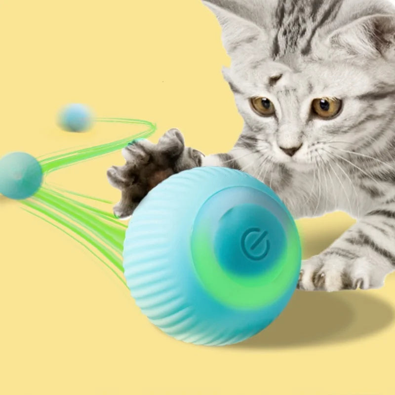 wonder.pet Smart Play Ball — Keeps Cats Active & Engaged