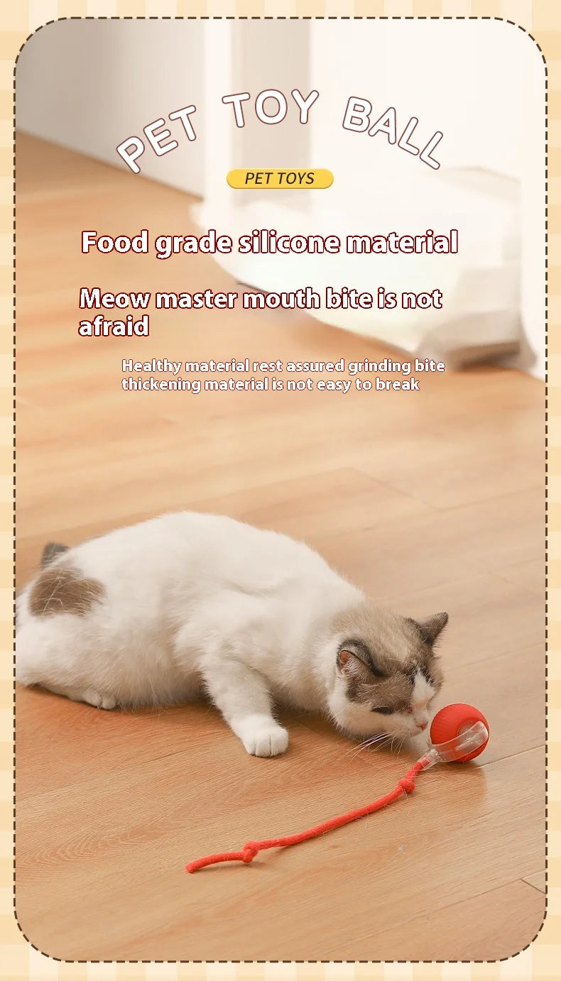 Cat Toys Pet Interactive Smart