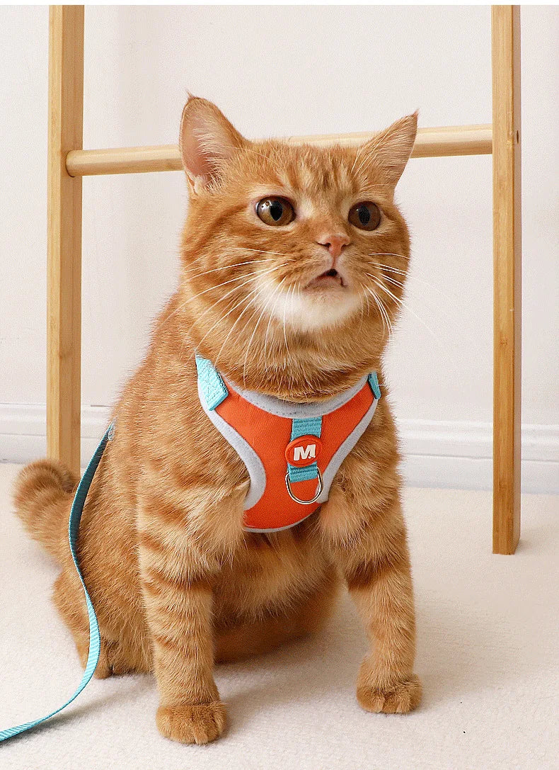 wonder.pet Comfort Harness — Secure Everyday Walks