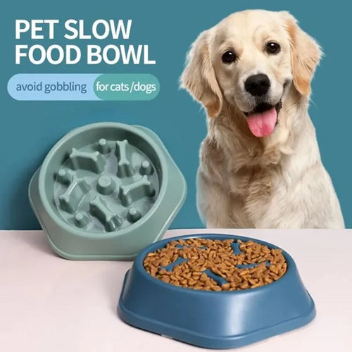 wonder.pet Slow Feed Bowl — Healthier Mealtimes