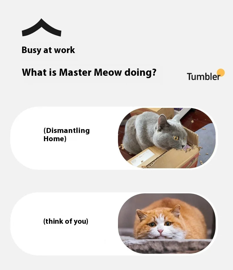 Cat Toys Pet Interactive Smart