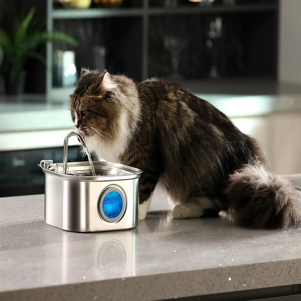 wonder.pet PureFlow Fountain — Fresh Hydration Every Day