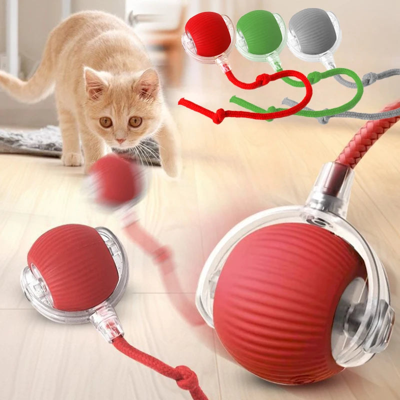Smart Pet Electric Toy Cat Training Imitate Mouse Toy Pet Supplies