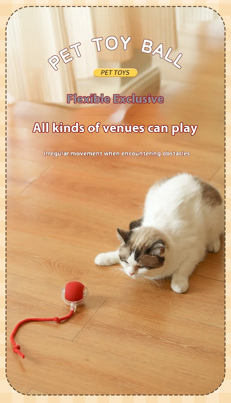 Cat Toys Pet Interactive Smart