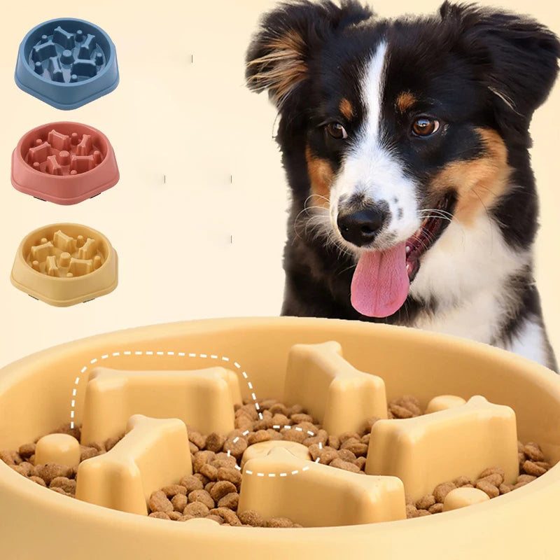 wonder.pet Slow Feed Bowl — Healthier Mealtimes