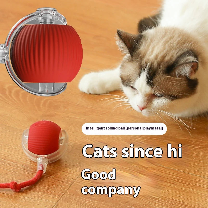 Cat Toys Pet Interactive Smart