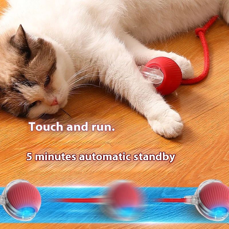 Cat Toys Pet Interactive Smart
