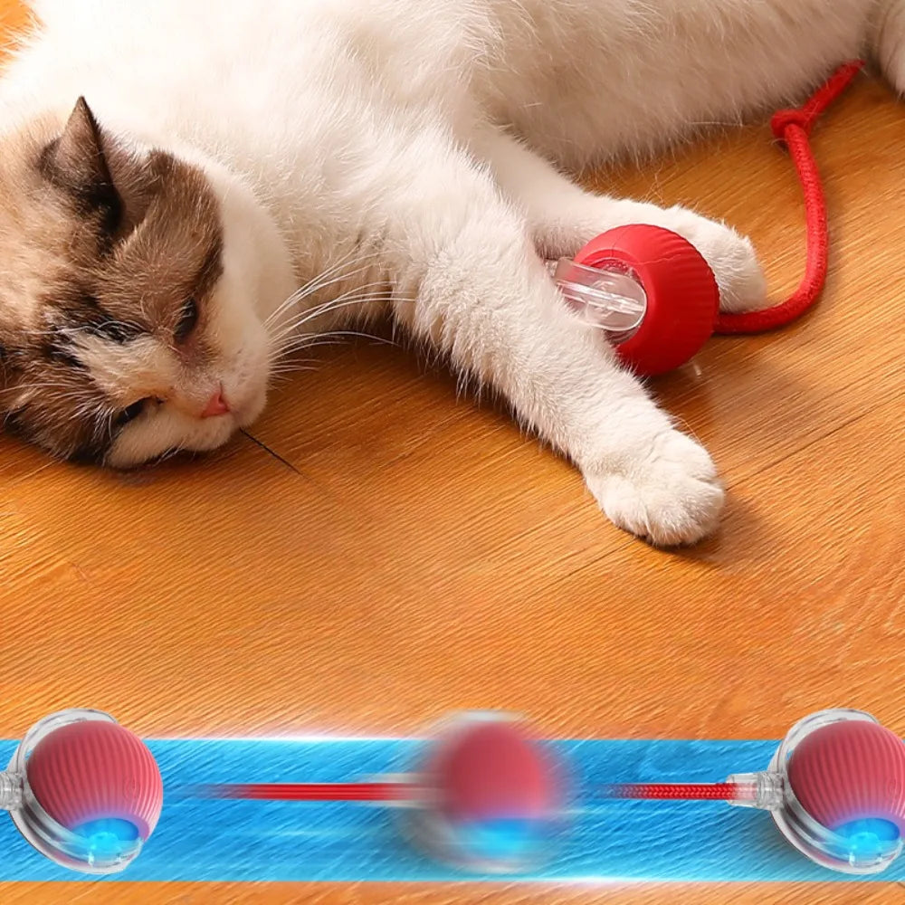 Smart Pet Electric Toy Cat Training Imitate Mouse Toy Pet Supplies