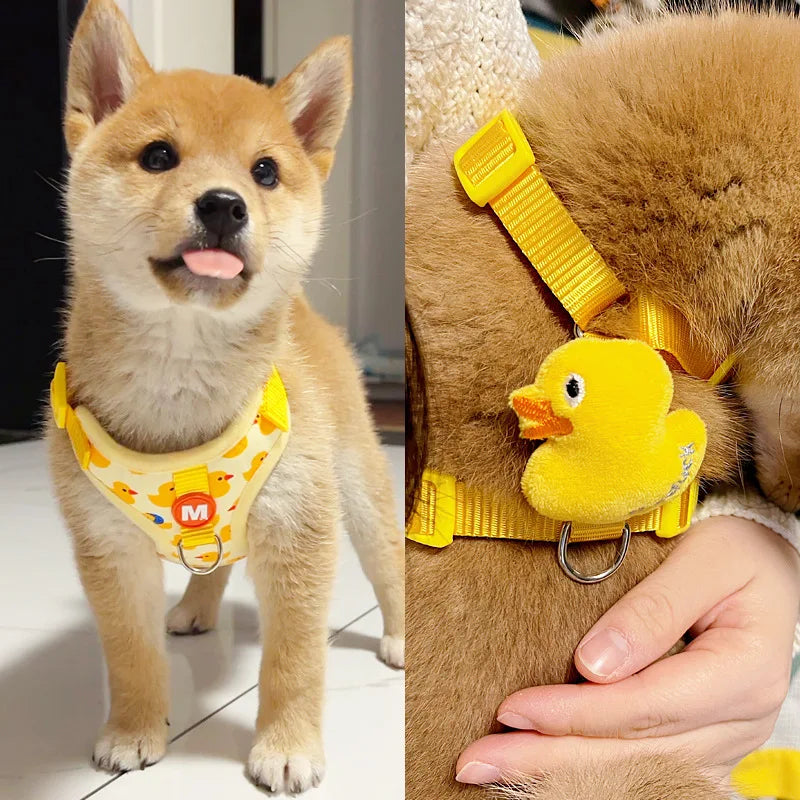 wonder.pet Comfort Harness — Secure Everyday Walks
