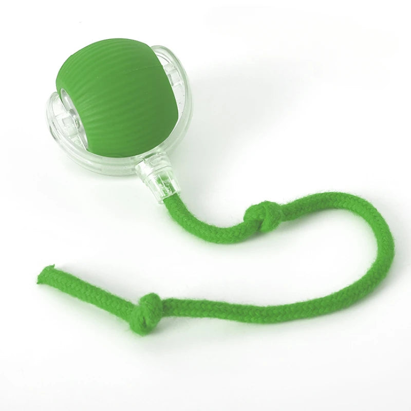 Smart Pet Electric Toy Cat Training Imitate Mouse Toy Pet Supplies