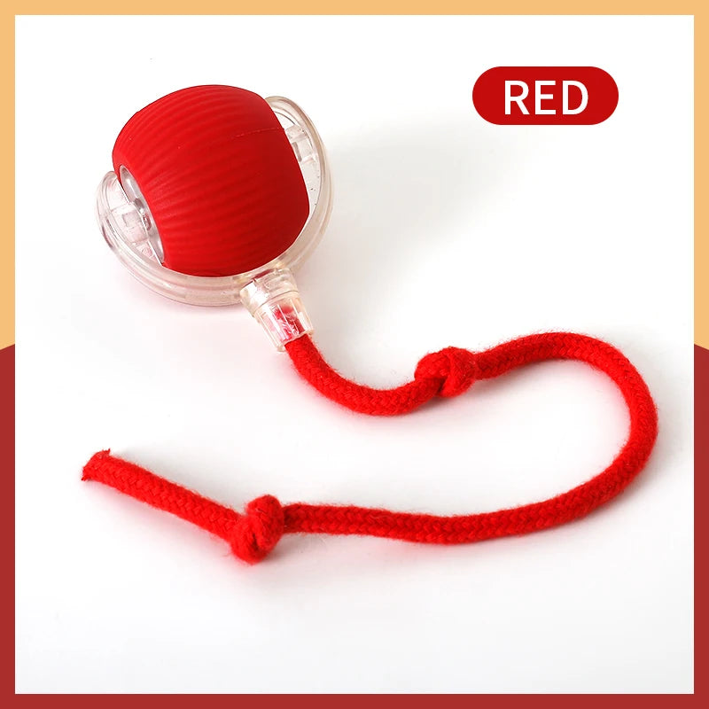 Cat Toys Pet Interactive Smart