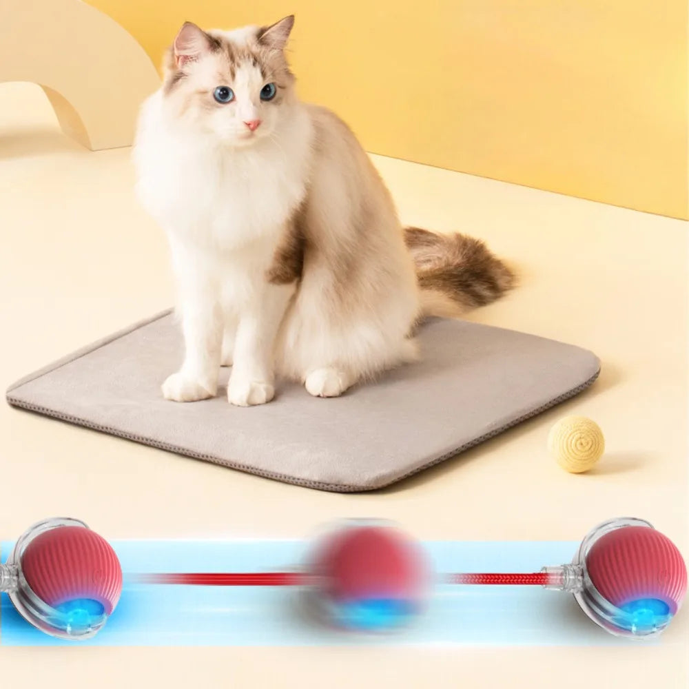 Smart Pet Electric Toy Cat Training Imitate Mouse Toy Pet Supplies
