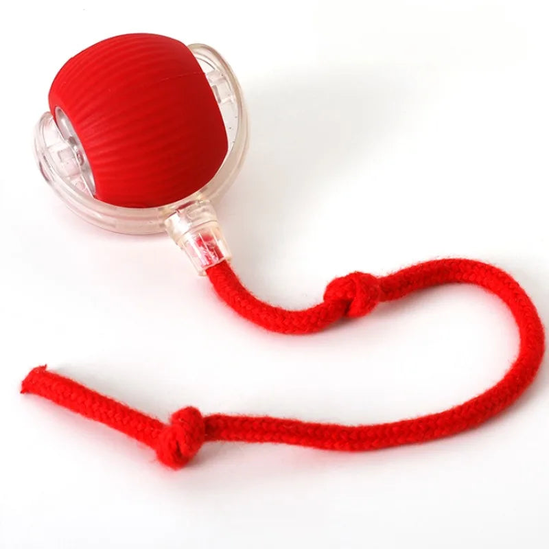Smart Pet Electric Toy Cat Training Imitate Mouse Toy Pet Supplies
