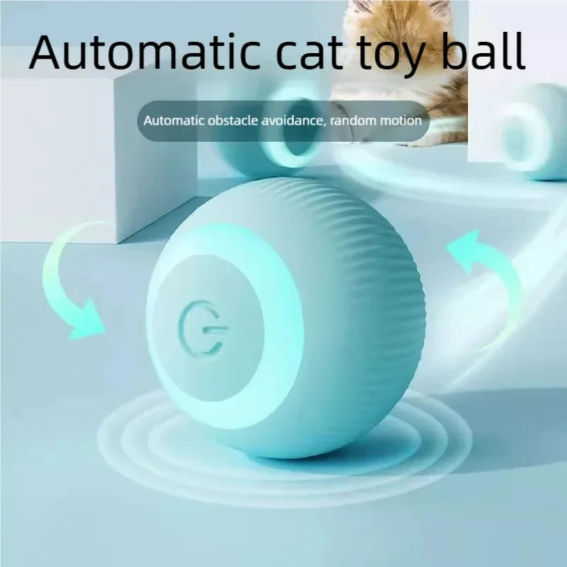 wonder.pet Smart Play Ball — Keeps Cats Active & Engaged