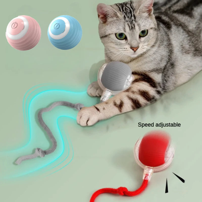 Cat Toys Pet Interactive Smart