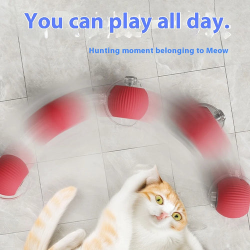 Cat Toys Pet Interactive Smart
