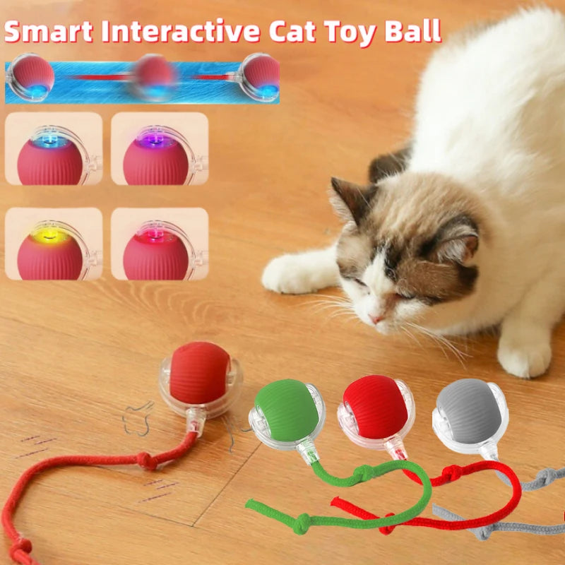 Smart Pet Electric Toy Cat Training Imitate Mouse Toy Pet Supplies