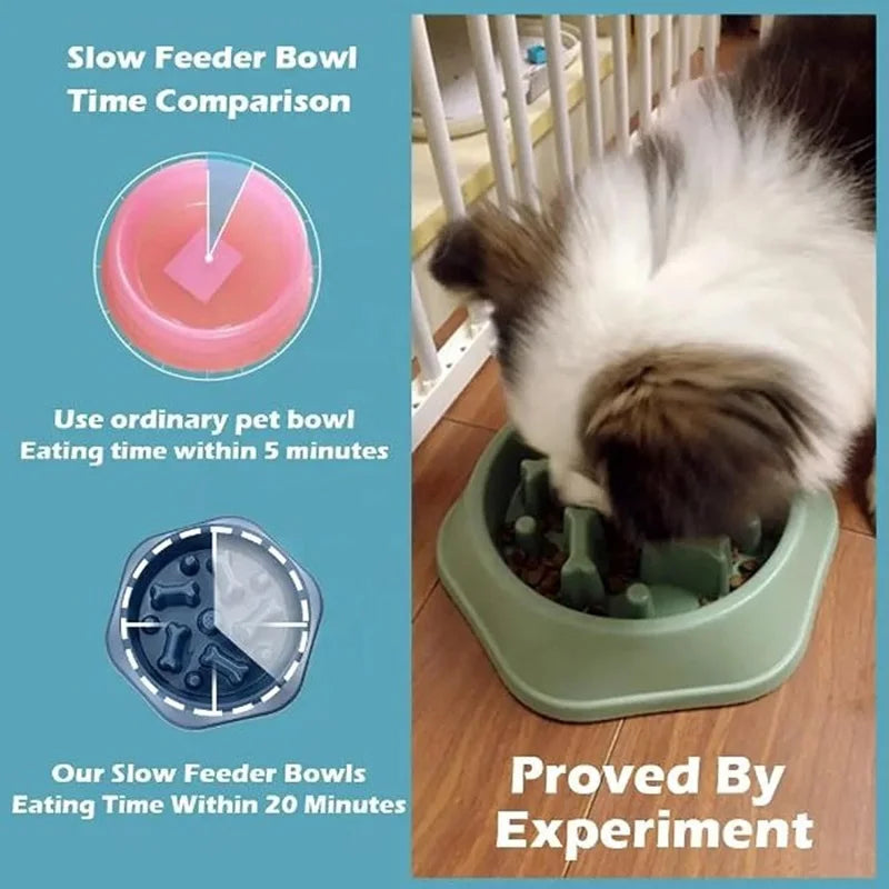 wonder.pet Slow Feed Bowl — Healthier Mealtimes