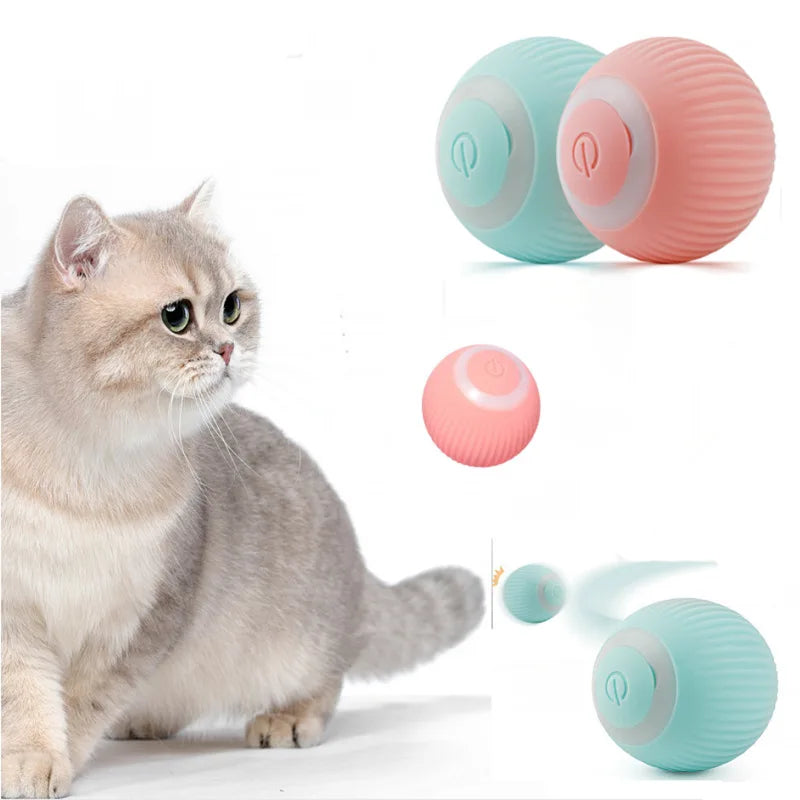 wonder.pet Smart Play Ball — Keeps Cats Active & Engaged