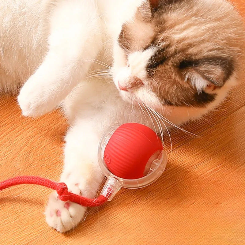 Smart Pet Electric Toy Cat Training Imitate Mouse Toy Pet Supplies