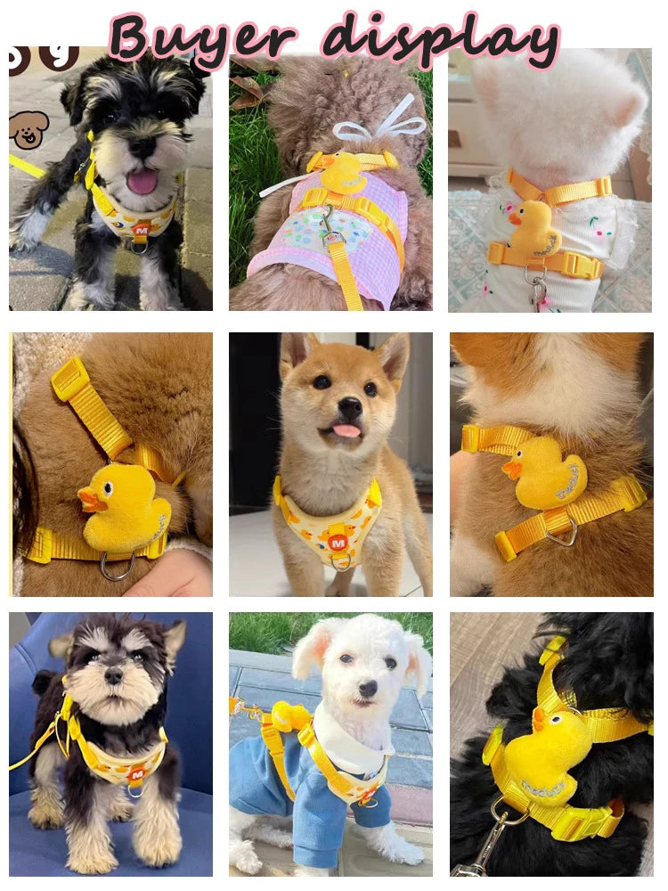 wonder.pet Comfort Harness — Secure Everyday Walks