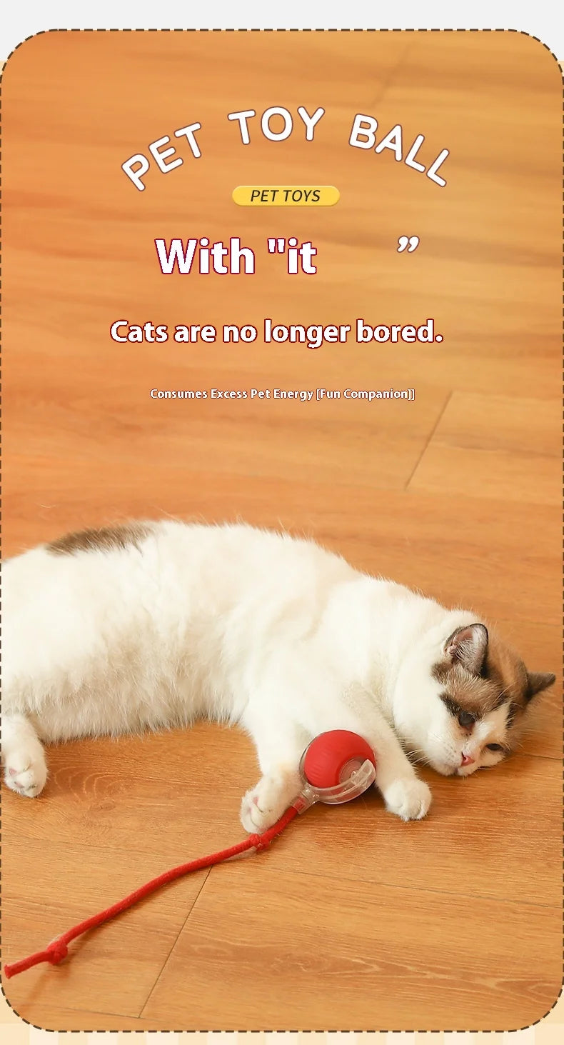 Cat Toys Pet Interactive Smart