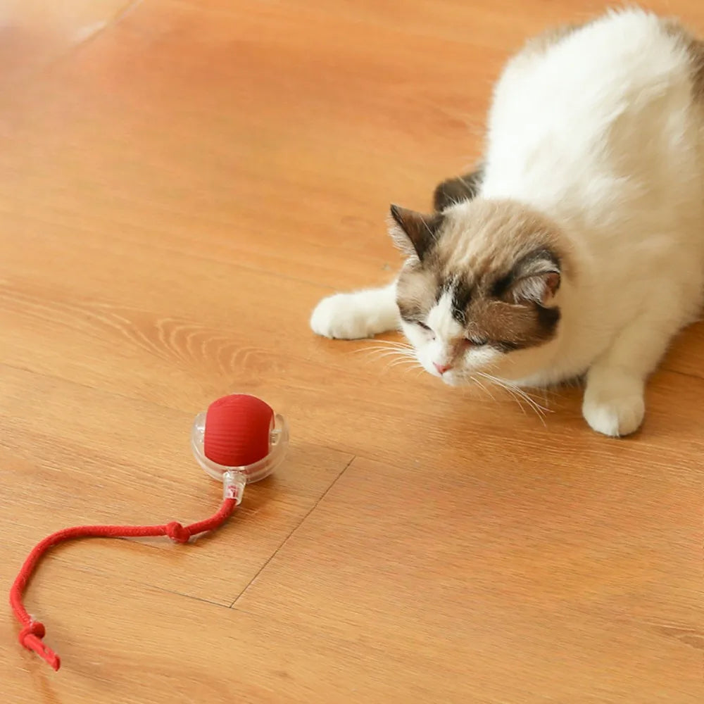 Smart Pet Electric Toy Cat Training Imitate Mouse Toy Pet Supplies