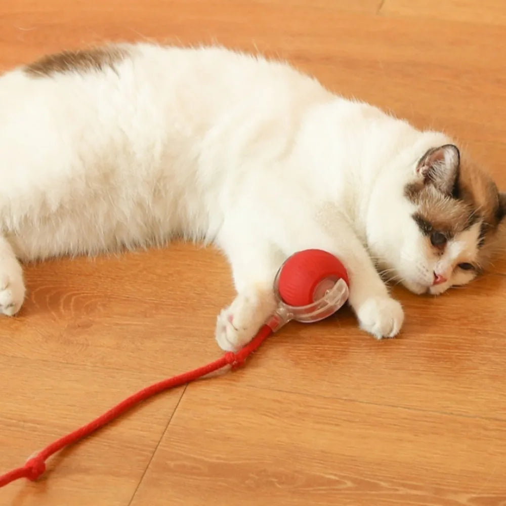 Cat Interactive Ball Toy Automatic Rolling Ball Faux Tail Smart Pet Electric Toy Cat Training Imitate Mouse Toy Pet Supplies